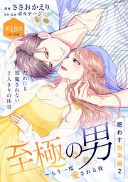 至極の男～もう一度愛される夜［comic tint］ 分冊版（18）