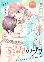 至極の男～もう一度愛される夜［comic tint］ 分冊版（20）