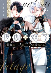 夜伽の双子―贄姫は二人の王子に愛される―