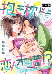 抱き枕 以上 恋人未満 !?～イケメンオーナーとの熱くて永い夜～
