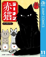 ラーメン赤猫 11