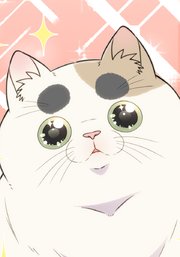 母塚さんを××にしたい。 第325話 心を癒すもの【タテヨミ】