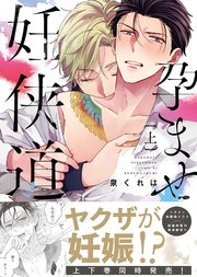 【特装版】孕ませ妊侠道