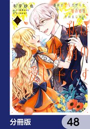 義妹が聖女だからと婚約破棄されましたが、私は妖精の愛し子です【分冊版】 48
