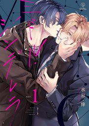 ミドル・シンデレラ 表紙