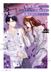政略結婚のはずが、溺愛旦那様がご執心すぎて離婚を許してくれません3【シーモア限定特典付き】