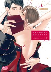 指先で溺愛革命、起こしませんか？～謎の独身貴族に彼氏宣言されました～【単行本】【電子限定特典付】 3