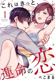 これはきっと、運命の恋