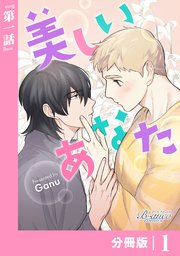 美しいあなた