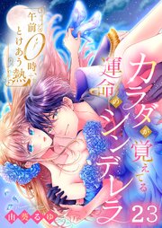 午前０時、とけあう熱～カラダが覚えてる運命のシンデレラ（２３）