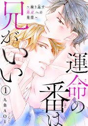 運命の番は兄がいい～繰り返す弟αへの発情～