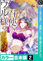 ウル様の召使い～異国にて、1億で落札されました。【カラー合本版】2巻