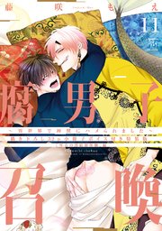 腐男子召喚～異世界で神獣にハメられました～ ： 11 【32P小冊子】