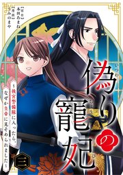偽りの寵妃～後宮警備隊に入ったら、なぜか皇帝に見そめられました～ 3