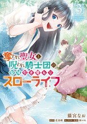奪われ聖女と呪われ騎士団の聖域引き篭もりスローライフ　3【コミックシーモア限定版】
