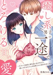 癒し系男子の一途でとろける甘い愛～モラハラ彼氏に家を追い出されたら、優しすぎるカフェの店員さんに拾われました～ 3巻