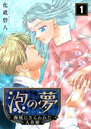 泡の夢～海賊にさらわれた人魚姫～ 表紙