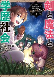 剣と魔法と学歴社会 3 ～前世はガリ勉だった俺が、今世は風任せで自由に生きたい～