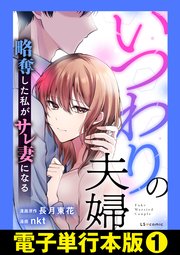 いつわりの夫婦 略奪した私がサレ妻になる