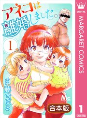 アネコは離婚しました。
