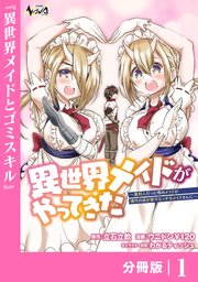 異世界メイドがやってきた～異邦人だった頃のメイドが現代の我が家でエッチなメイドさんに～