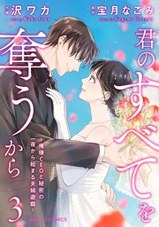 君のすべてを奪うから～俺様CEOと秘密の一夜から始まる夫婦遊戯～3巻