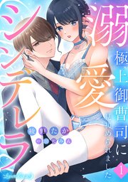 溺愛シンデレラ 極上御曹司に見初められました