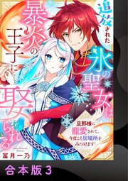追放された氷の聖女は暴炎の王子に娶られる～旦那様に寵愛されて、今度こそ居場所をみつけます！～【合本版】 3