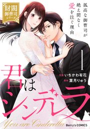君はシンデレラ～孤高な御曹司が絶え間なく愛を注ぐ理由～【財閥御曹司シリーズ】
