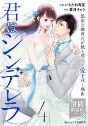 君はシンデレラ～孤高な御曹司が絶え間なく愛を注ぐ理由～【財閥御曹司シリーズ】