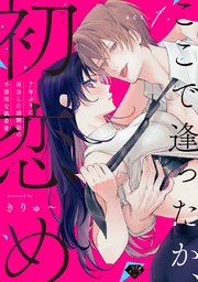 【ラブチーク】ここで逢ったか、初恋め～7年ぶりに再会した幼馴染の不器用な執着愛～