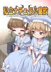 私立ナチュラル高校