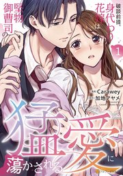 破談前提、身代わり花嫁は堅物御曹司の猛愛に蕩かされる