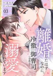 離婚したはずなのに、冷徹エリート御曹司に容赦なく溺愛されています【電子単行本版】 3巻