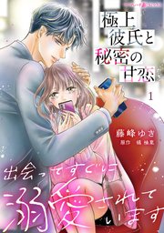 極上彼氏と秘密の甘恋～出会ってすぐに溺愛されています～