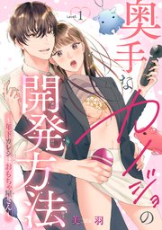 奥手なカノジョの開発方法～年下カレシはおもちゃ屋さん～ 【短編】