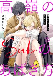 高嶺のSubのあばき方～君の心をとかすコマンド～5