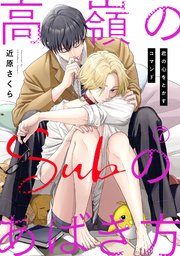 高嶺のSubのあばき方～君の心をとかすコマンド～7