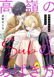 高嶺のSubのあばき方～君の心をとかすコマンド～8