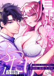 帰れないふたり【合冊版】