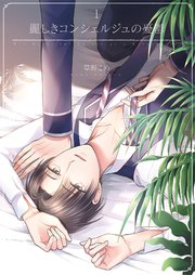 麗しきコンシェルジュの憂鬱