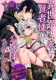 異世界から来た賢者様はお嫁様をさがしている　獣人の乙女は運命のつがいに愛されて 【短編】10