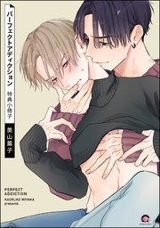 パーフェクトアディクション 特典小冊子