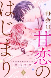 再会は甘恋のはじまり 分冊版