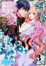 離縁を申し出たら溺愛されるようになりました!? ～将軍閣下は年下妻にご執心～【単話版】（3）