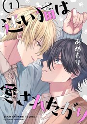 迷い猫は愛されたがり