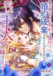 最大限こちらに有利な条件で婚約破棄させていただきますわ！そして、愛しの王太子様に嫁ぎます！