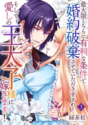 最大限こちらに有利な条件で婚約破棄させていただきますわ！そして、愛しの王太子様に嫁ぎます！