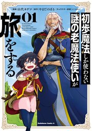 初歩魔法しか使わない謎の老魔法使いが旅をする 表紙