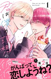 君は僕の理想の彼氏 表紙